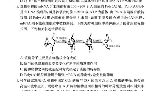 湖南师范大学附属中学2024届高三上学期月考（二）生物(1)_2023年10月_01每日更新_7号_2024届湖南师范大学附属中学高三上学期月考（二）