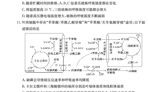 湖南师范大学附属中学2024届高三上学期月考（二）生物(1)_2023年10月_01每日更新_7号_2024届湖南师范大学附属中学高三上学期月考（二）