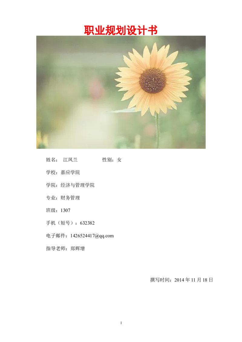 大学生职业规划书框架模板(仅供参考)_E6-职业规划_02财务管理专业
