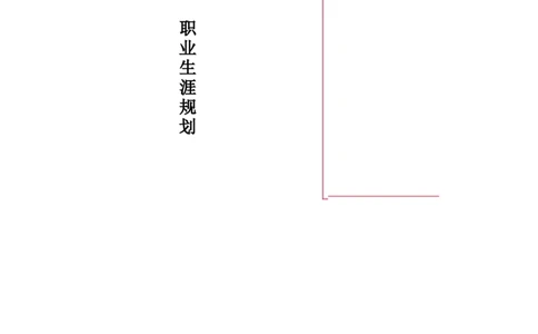 大学生职业规划书框架模板(仅供参考)_E6-职业规划_02财务管理专业