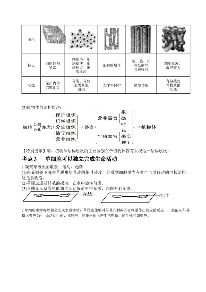 2018年中考生物知识点总结_赠送小初高学霸笔记等_小初高知识点_小初高知识点_中考生物知识点