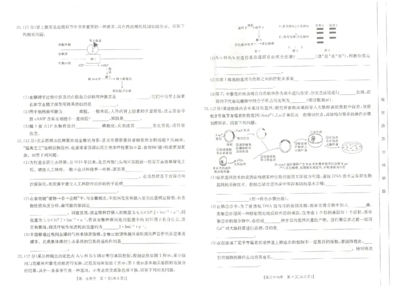 河北省保定市部分高中2023-2024学年高三上学期开学考试生物(1)_2023年8月_028月合集_2024届河北省保定市部分高中高三上学期开学考试
