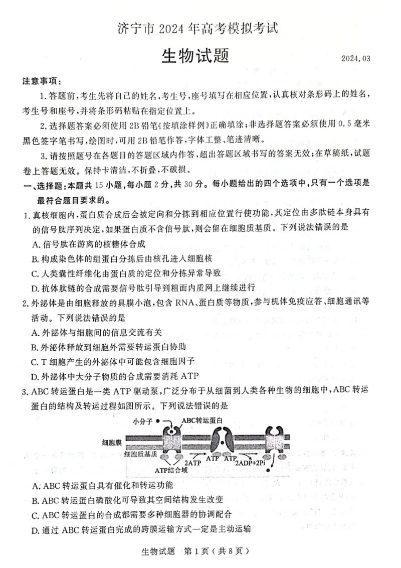 2024届山东省济宁市高三3月高考模拟考试生物试题_2024年3月_013月合集_2024届山东省济宁市高三下学期3月一模考试_山东省济宁市2024届高三下学期3月一模考试生物PDF版含答案
