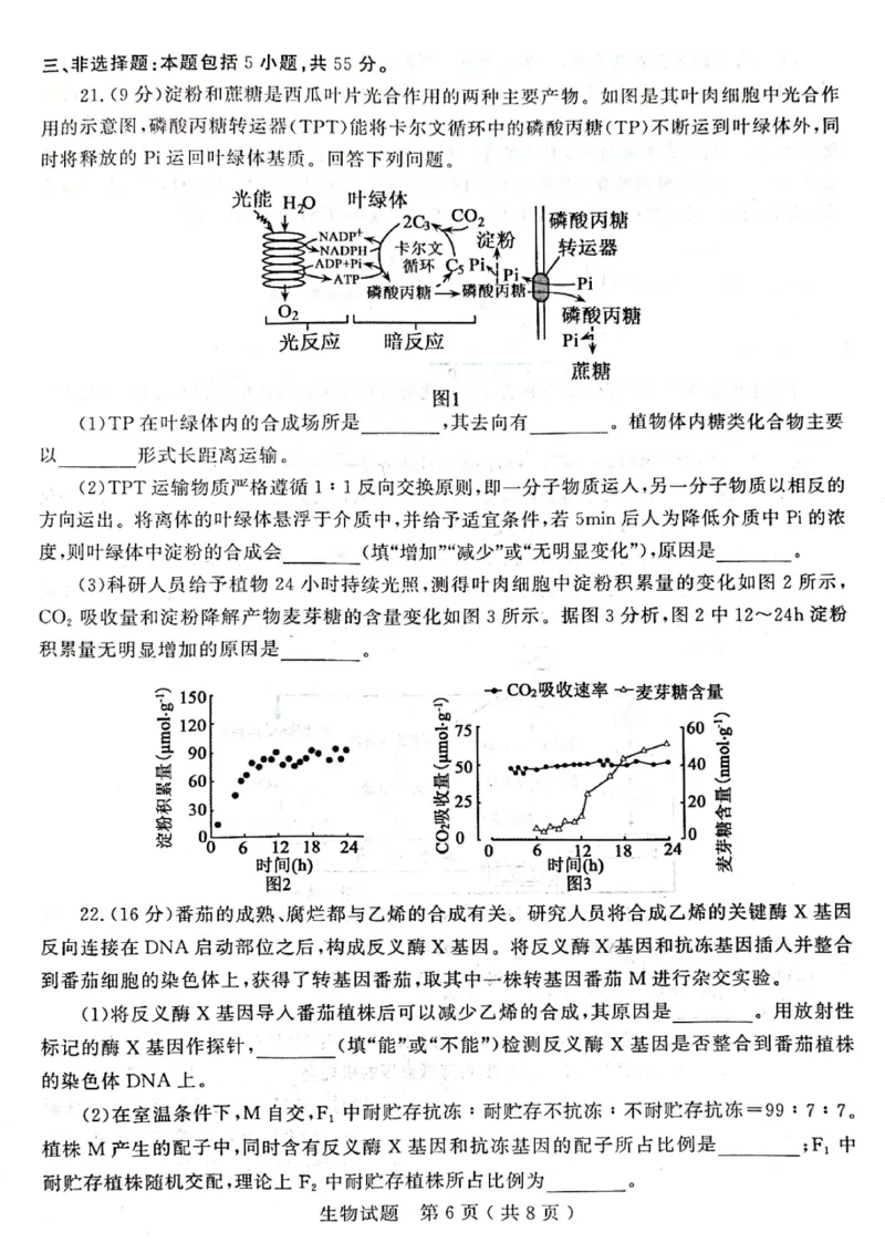 2024届山东省济宁市高三3月高考模拟考试生物试题_2024年3月_013月合集_2024届山东省济宁市高三下学期3月一模考试_山东省济宁市2024届高三下学期3月一模考试生物PDF版含答案