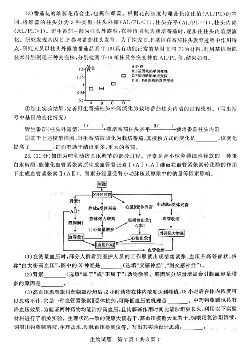 2024届山东省济宁市高三3月高考模拟考试生物试题_2024年3月_013月合集_2024届山东省济宁市高三下学期3月一模考试_山东省济宁市2024届高三下学期3月一模考试生物PDF版含答案