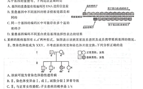 2024届山东省济宁市高三3月高考模拟考试生物试题_2024年3月_013月合集_2024届山东省济宁市高三下学期3月一模考试_山东省济宁市2024届高三下学期3月一模考试生物PDF版含答案