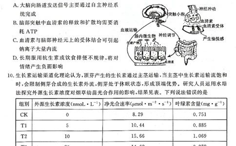 2024届山东省济宁市高三3月高考模拟考试生物试题_2024年3月_013月合集_2024届山东省济宁市高三下学期3月一模考试_山东省济宁市2024届高三下学期3月一模考试生物PDF版含答案