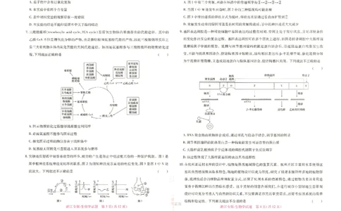 王后雄高考押题预测卷2024浙江专版-生物_2024高考押题卷_22024王hou雄_16王后雄押题_2024年王后雄高考押题预测卷（浙江专版）