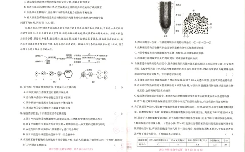 王后雄高考押题预测卷2024浙江专版-生物_2024高考押题卷_22024王hou雄_16王后雄押题_2024年王后雄高考押题预测卷（浙江专版）