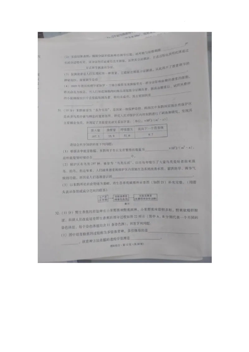 2023届&ldquo;3+3+3&rdquo;高考备考诊断性联考卷（二）理综_2024年2月_01每日更新_15号_2023届贵州省3+3+3高考备考诊断性联考（二）全科_2023届贵州省3+3+3高考备考诊断性联考（二）理综