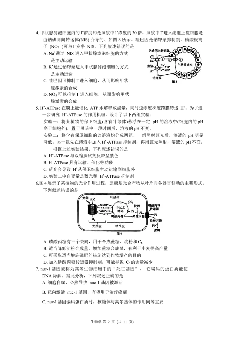 重庆市巴蜀中学2024届高考适应性月考卷（三）生物试题(1)_2023年10月_0210月合集_2024届重庆巴蜀中学高三适应性月考（三）_重庆巴蜀中学2024届高考适应性月考卷（三）生物