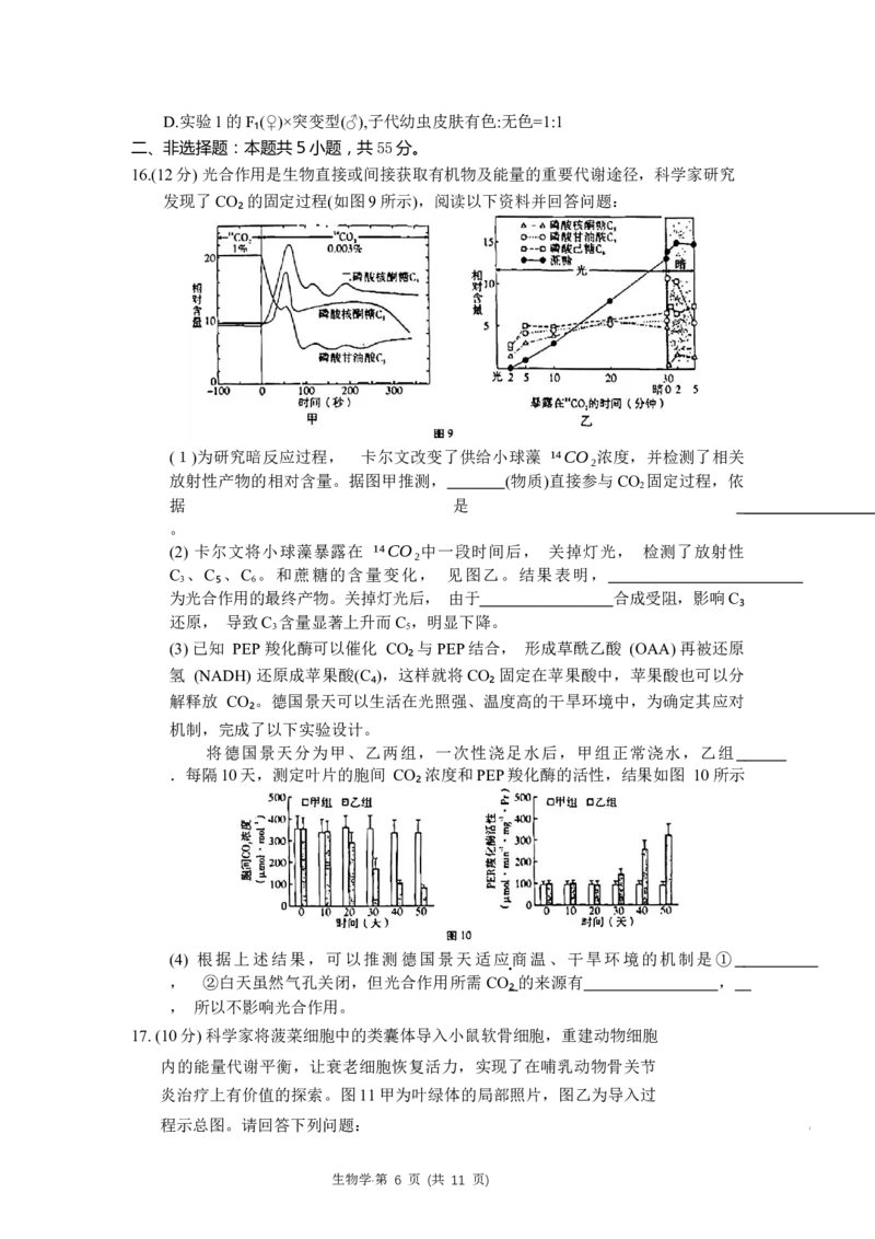 重庆市巴蜀中学2024届高考适应性月考卷（三）生物试题(1)_2023年10月_0210月合集_2024届重庆巴蜀中学高三适应性月考（三）_重庆巴蜀中学2024届高考适应性月考卷（三）生物