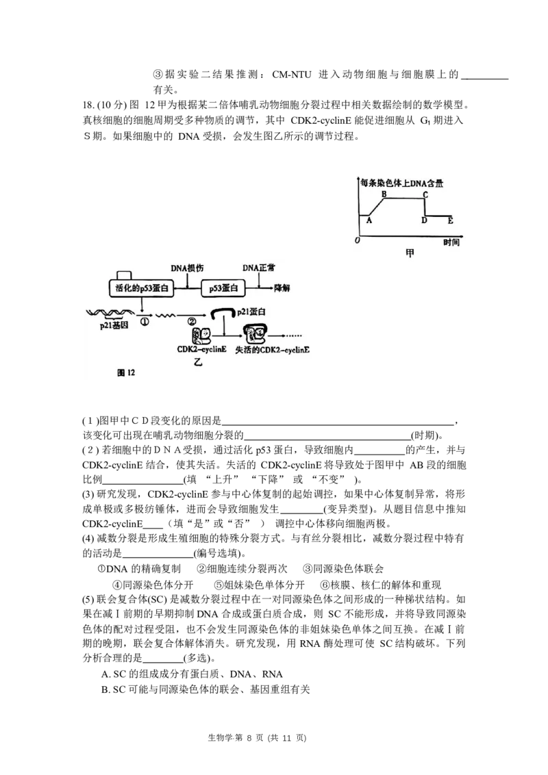 重庆市巴蜀中学2024届高考适应性月考卷（三）生物试题(1)_2023年10月_0210月合集_2024届重庆巴蜀中学高三适应性月考（三）_重庆巴蜀中学2024届高考适应性月考卷（三）生物