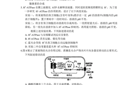 重庆市巴蜀中学2024届高考适应性月考卷（三）生物试题(1)_2023年10月_0210月合集_2024届重庆巴蜀中学高三适应性月考（三）_重庆巴蜀中学2024届高考适应性月考卷（三）生物
