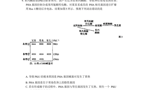 重庆市巴蜀中学2024届高考适应性月考卷（三）生物试题(1)_2023年10月_0210月合集_2024届重庆巴蜀中学高三适应性月考（三）_重庆巴蜀中学2024届高考适应性月考卷（三）生物