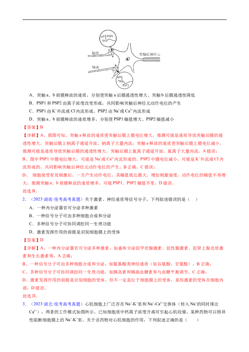 专题14神经调节-五年（2019-2023）高考生物真题分项汇编（全国通用）（解析版）_赠送：2008-2024全套高考真题_高考生物真题_送高考生物五年真题(2019-2023)分项汇编（全国通用）