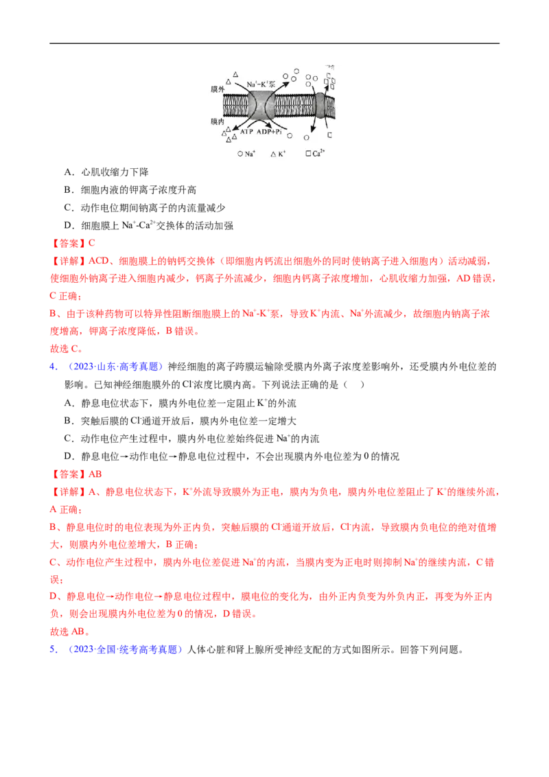 专题14神经调节-五年（2019-2023）高考生物真题分项汇编（全国通用）（解析版）_赠送：2008-2024全套高考真题_高考生物真题_送高考生物五年真题(2019-2023)分项汇编（全国通用）