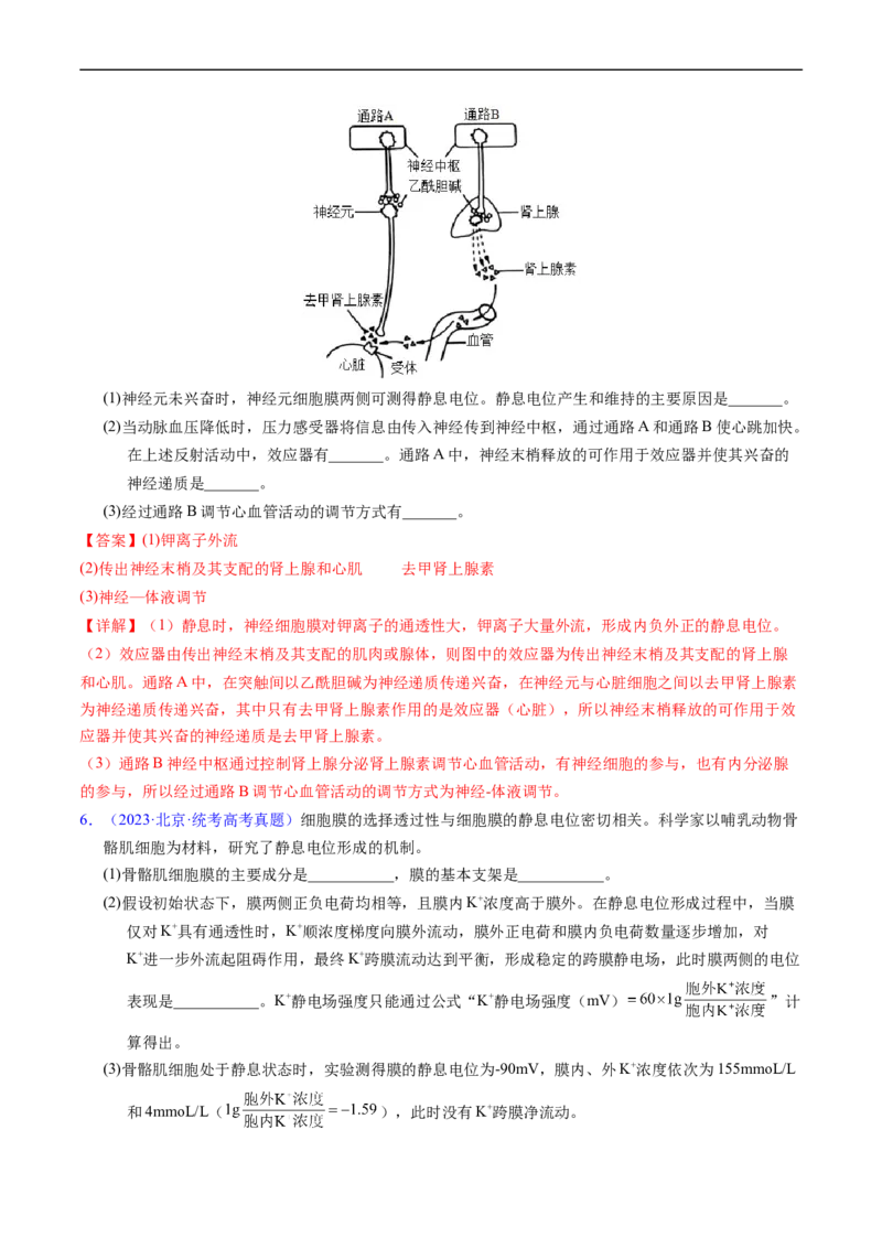 专题14神经调节-五年（2019-2023）高考生物真题分项汇编（全国通用）（解析版）_赠送：2008-2024全套高考真题_高考生物真题_送高考生物五年真题(2019-2023)分项汇编（全国通用）