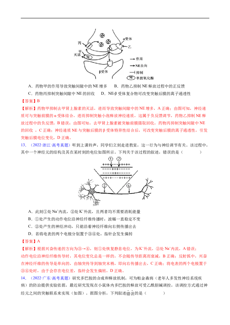 专题14神经调节-五年（2019-2023）高考生物真题分项汇编（全国通用）（解析版）_赠送：2008-2024全套高考真题_高考生物真题_送高考生物五年真题(2019-2023)分项汇编（全国通用）