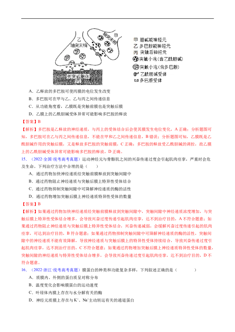 专题14神经调节-五年（2019-2023）高考生物真题分项汇编（全国通用）（解析版）_赠送：2008-2024全套高考真题_高考生物真题_送高考生物五年真题(2019-2023)分项汇编（全国通用）