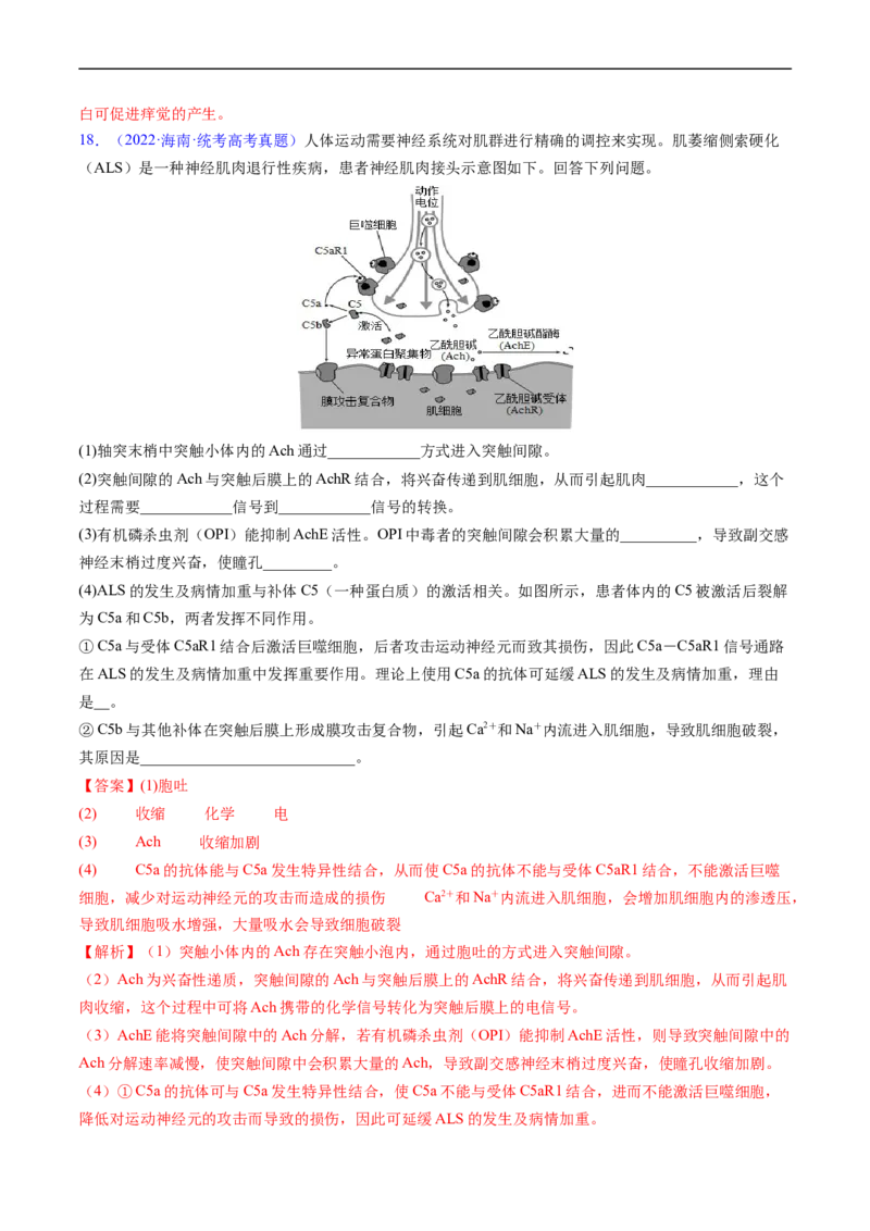 专题14神经调节-五年（2019-2023）高考生物真题分项汇编（全国通用）（解析版）_赠送：2008-2024全套高考真题_高考生物真题_送高考生物五年真题(2019-2023)分项汇编（全国通用）