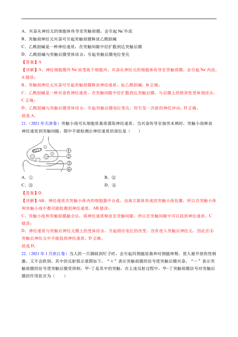 专题14神经调节-五年（2019-2023）高考生物真题分项汇编（全国通用）（解析版）_赠送：2008-2024全套高考真题_高考生物真题_送高考生物五年真题(2019-2023)分项汇编（全国通用）