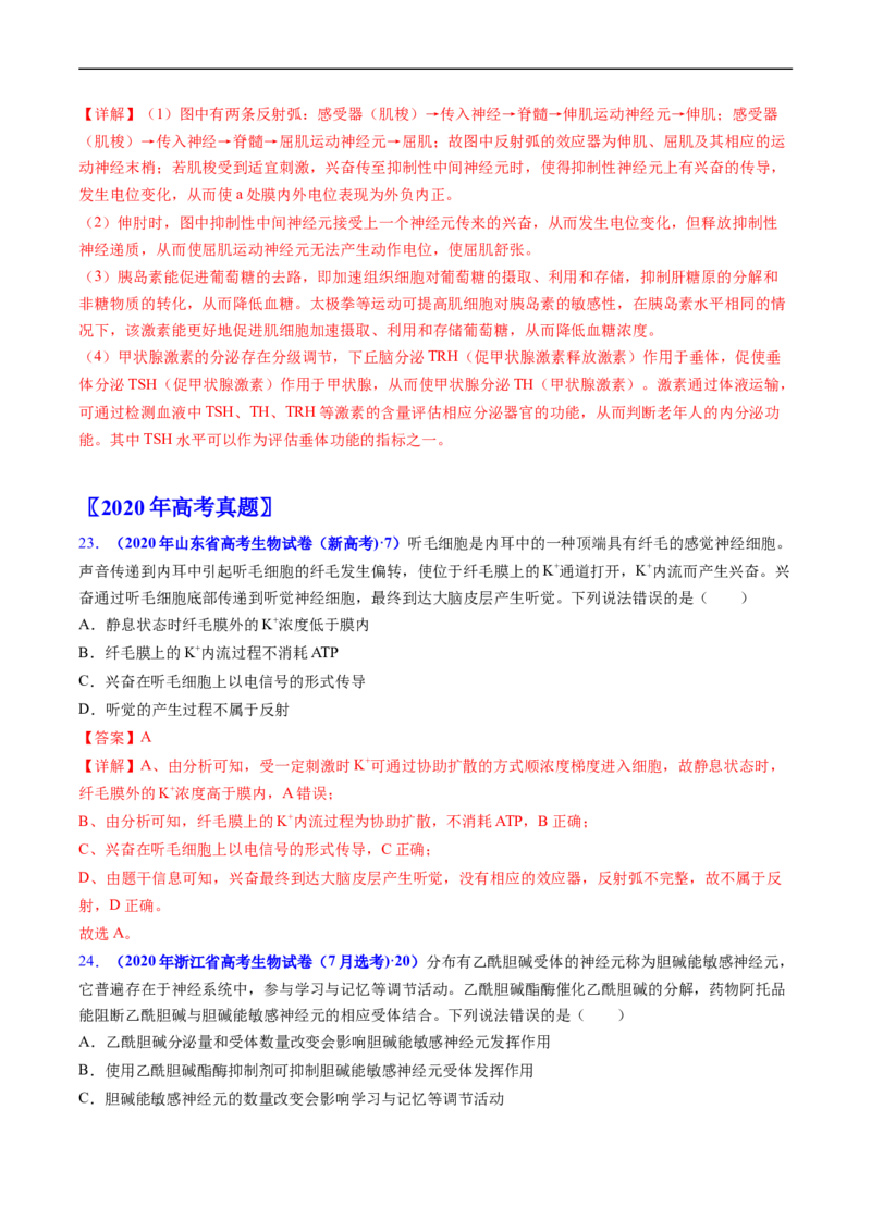 专题14神经调节-五年（2019-2023）高考生物真题分项汇编（全国通用）（解析版）_赠送：2008-2024全套高考真题_高考生物真题_送高考生物五年真题(2019-2023)分项汇编（全国通用）