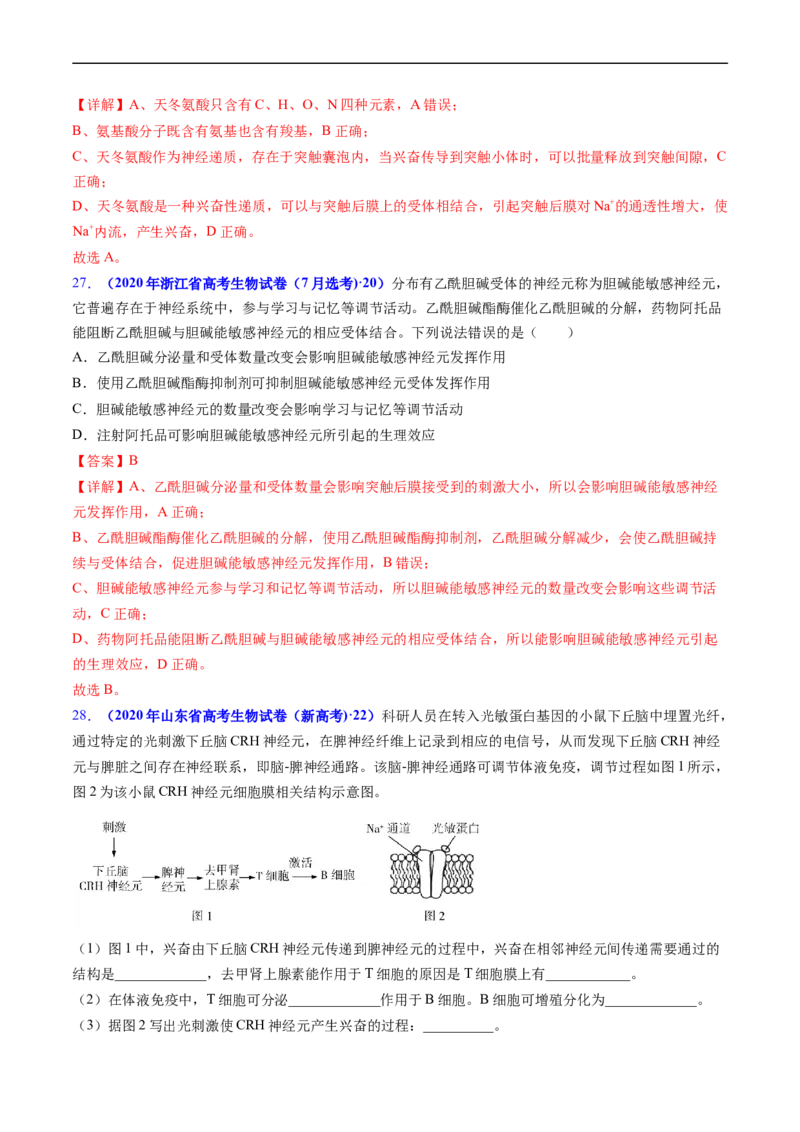 专题14神经调节-五年（2019-2023）高考生物真题分项汇编（全国通用）（解析版）_赠送：2008-2024全套高考真题_高考生物真题_送高考生物五年真题(2019-2023)分项汇编（全国通用）