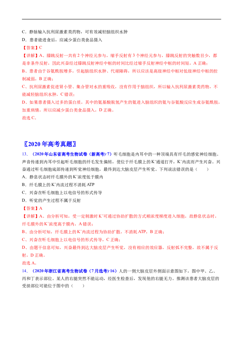 专题14神经调节-五年（2019-2023）高考生物真题分项汇编（全国通用）（解析版）_赠送：2008-2024全套高考真题_高考生物真题_送高考生物五年真题(2019-2023)分项汇编（全国通用）