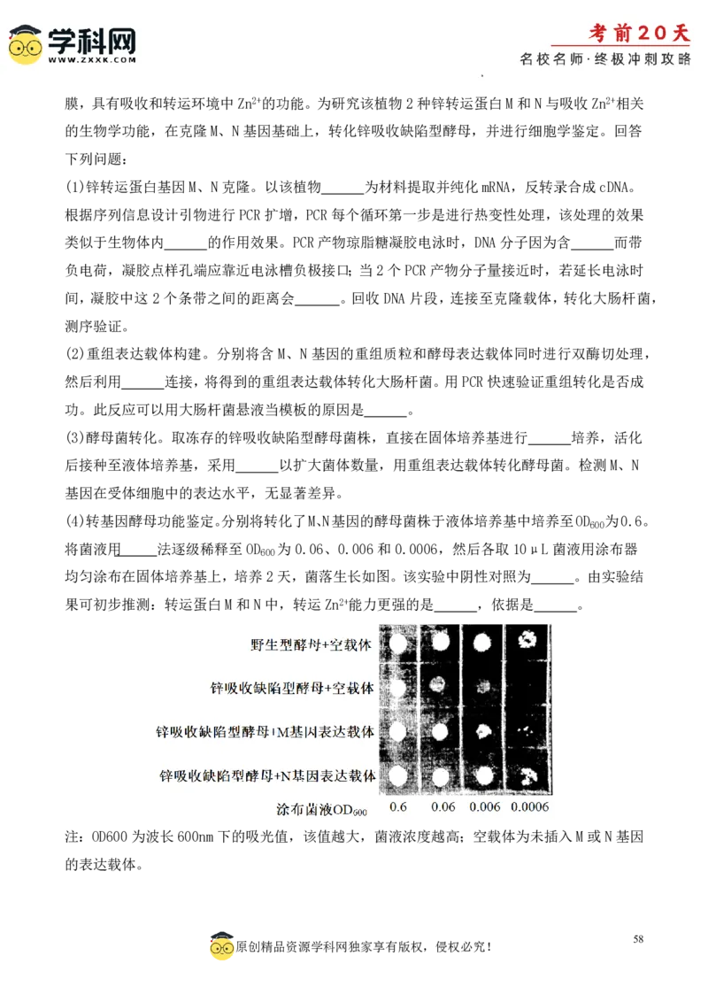 生物（三）-2024年高考考前20天终极冲刺攻略_2024高考押题卷_62024学科网全系列_21学科网高考考前终极攻略_生物-2024年高考考前20天终极冲刺攻略