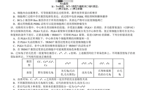 高三生物联盟考试(1)_2023年10月_0210月合集_2024届广东省佛山市S7高质量发展联盟高三上学期联考_广东省佛山市S7高质量发展联盟2024届高三上学期联考生物
