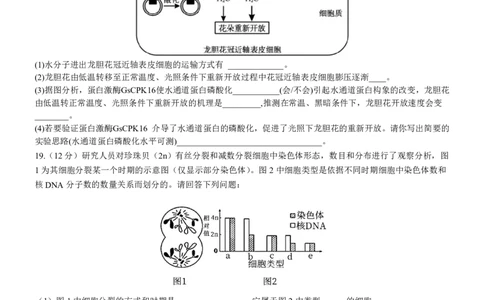 高三生物联盟考试(1)_2023年10月_0210月合集_2024届广东省佛山市S7高质量发展联盟高三上学期联考_广东省佛山市S7高质量发展联盟2024届高三上学期联考生物