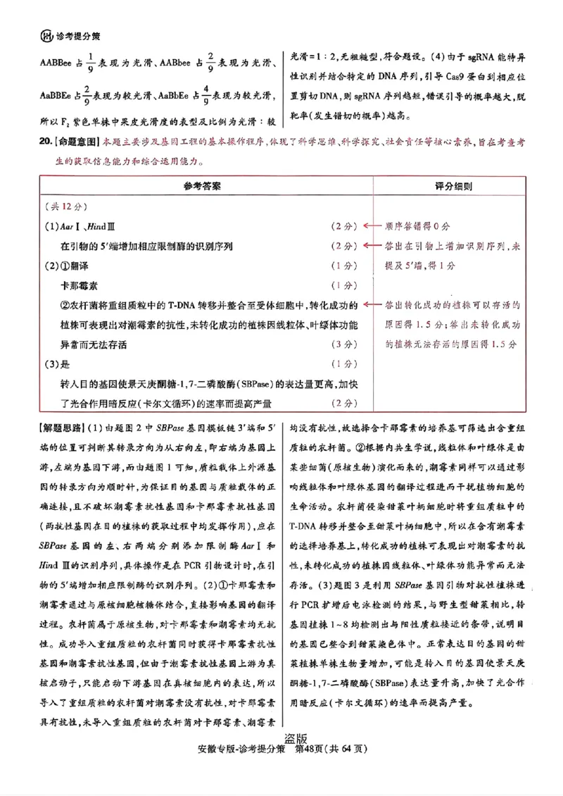 王后雄高考押题预测卷2024安徽专版诊考提分册_2024高考押题卷_22024王hou雄_（新高考）2024王后雄押题预测卷（分科版）_1.语文
