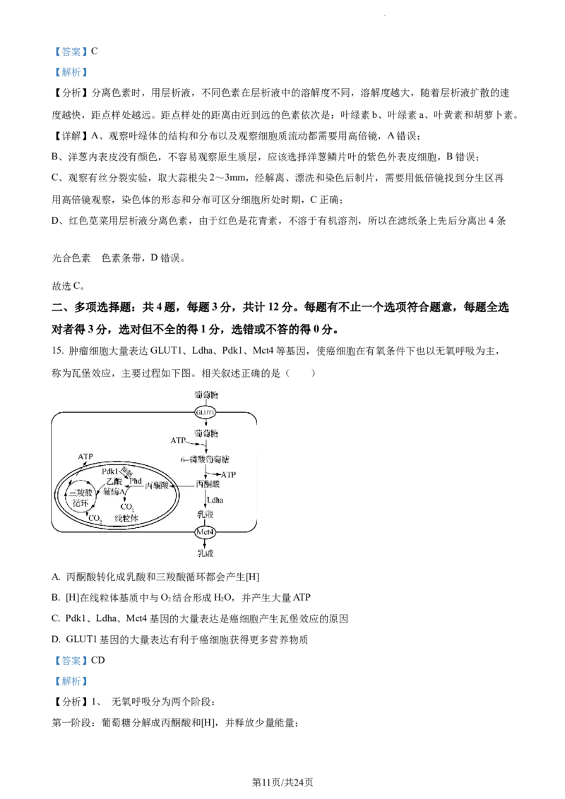 精品解析：江苏省常州市联盟学校2023-2024学年高三10月学情调研生物试题（解析版）(1)_2023年10月_0210月合集_2024届江苏省常州市联盟学校高三上学期10月学情调研