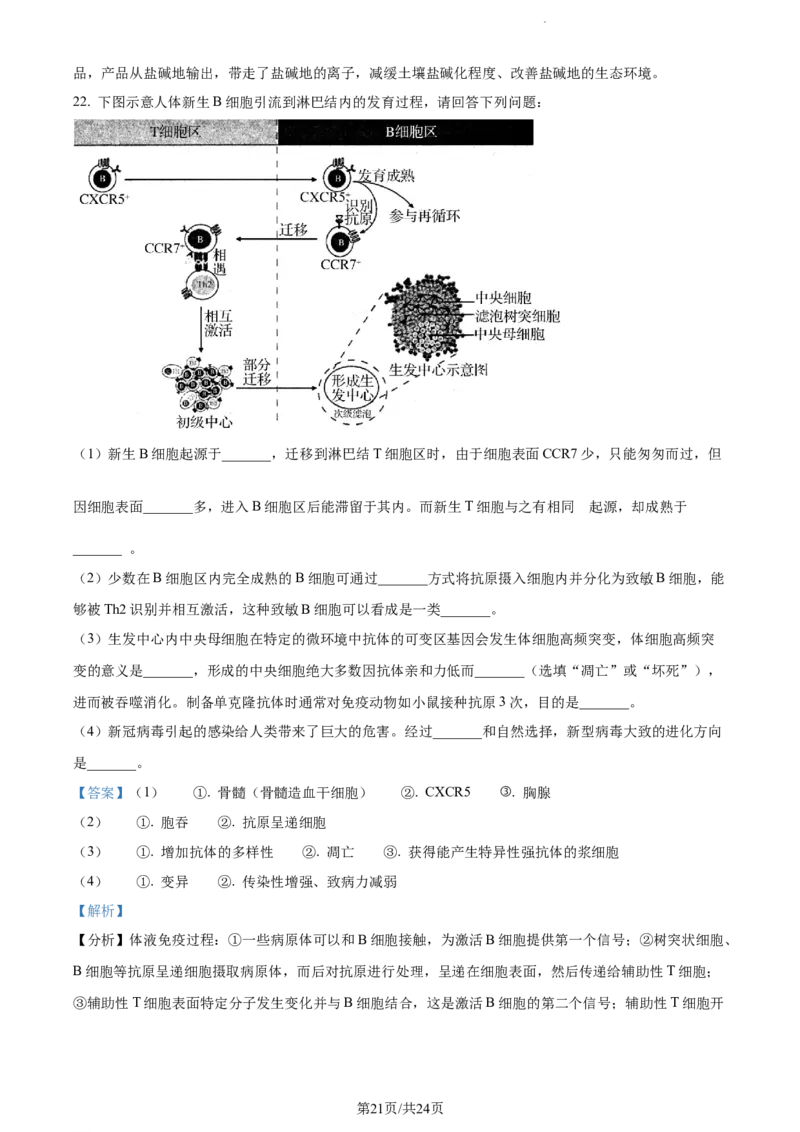 精品解析：江苏省常州市联盟学校2023-2024学年高三10月学情调研生物试题（解析版）(1)_2023年10月_0210月合集_2024届江苏省常州市联盟学校高三上学期10月学情调研