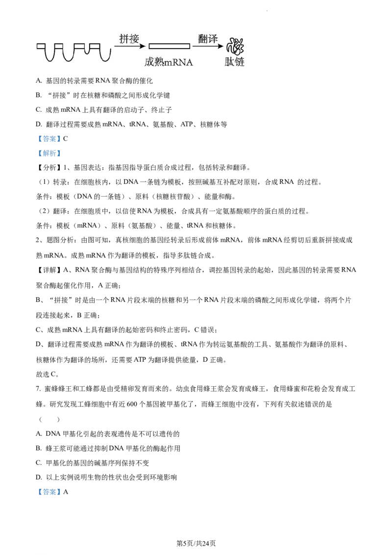 精品解析：江苏省常州市联盟学校2023-2024学年高三10月学情调研生物试题（解析版）(1)_2023年10月_0210月合集_2024届江苏省常州市联盟学校高三上学期10月学情调研