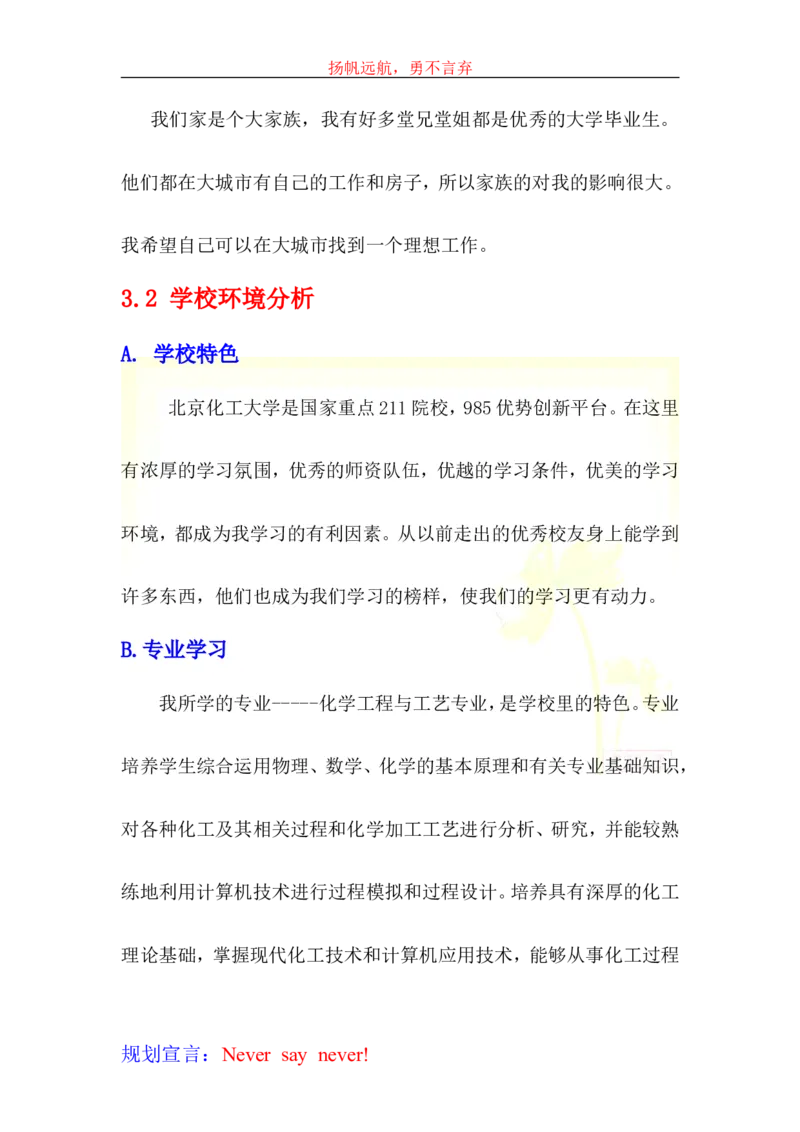 大学生学业生涯规划书-化工_E6-职业规划_33化学专业