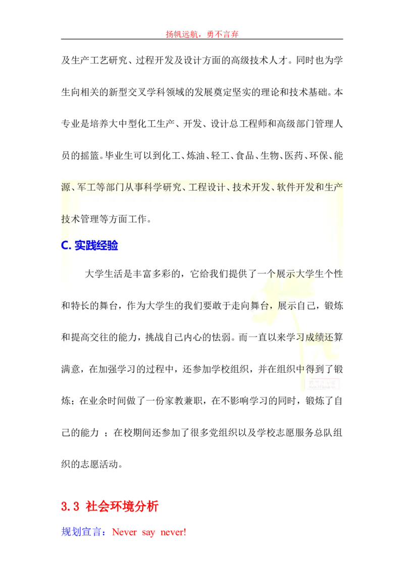 大学生学业生涯规划书-化工_E6-职业规划_33化学专业