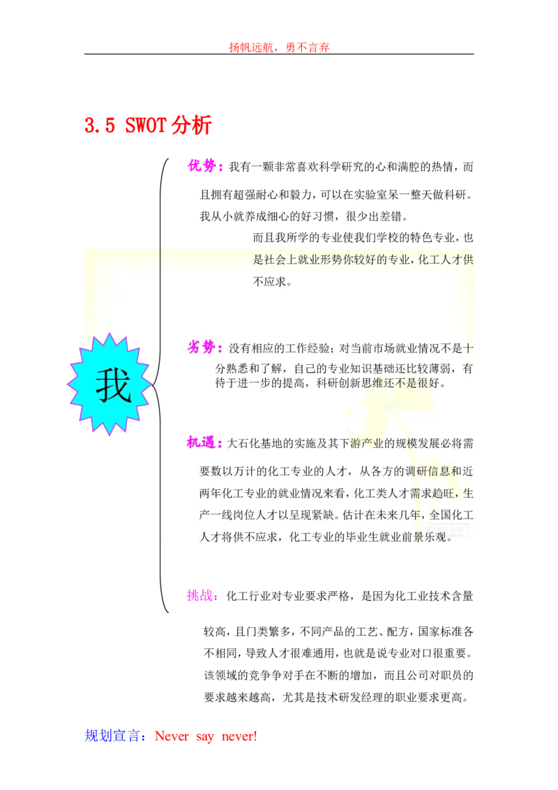 大学生学业生涯规划书-化工_E6-职业规划_33化学专业