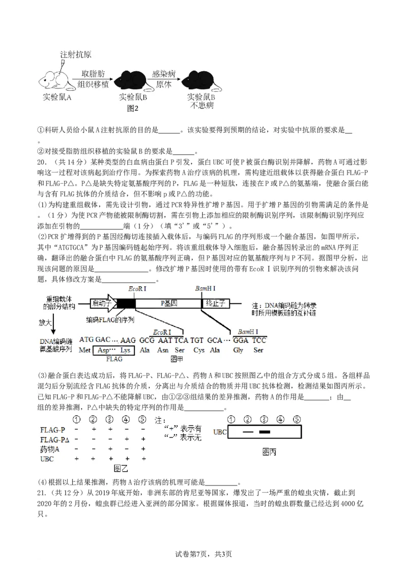 湖南省衡阳市第八中学2023-2024学年高三上学期开学考试生物_2023年8月_01每日更新_29号_2024届湖南省衡阳市第八中学高三上学期开学检测