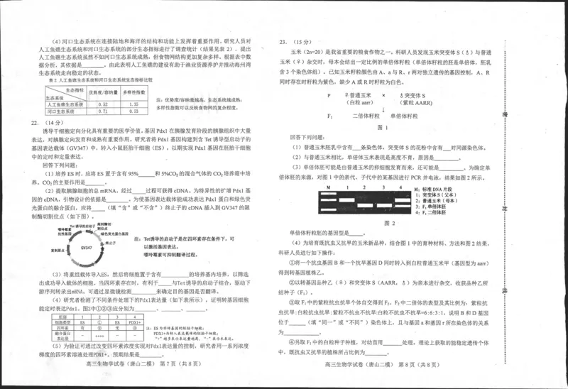 2024届河北省唐山市高三下学期二模考试生物试题_2024年4月_01按日期_30号_2024届河北省唐山市高三下学期二模考试_2024届河北省唐山市高三下学期二模考试生物试题