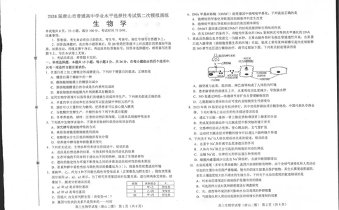 2024届河北省唐山市高三下学期二模考试生物试题_2024年4月_01按日期_30号_2024届河北省唐山市高三下学期二模考试_2024届河北省唐山市高三下学期二模考试生物试题
