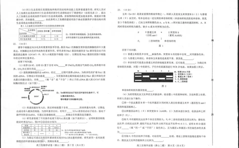 2024届河北省唐山市高三下学期二模考试生物试题_2024年4月_01按日期_30号_2024届河北省唐山市高三下学期二模考试_2024届河北省唐山市高三下学期二模考试生物试题