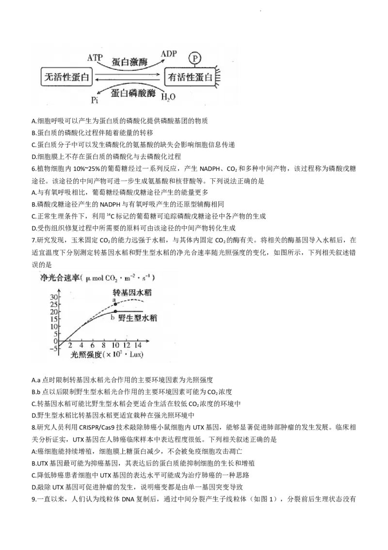 河南省平顶山许昌济源洛阳四市2024届高三上学期第一次质量检测生物(1)_2023年10月_0210月合集_2024届河南省平顶山许昌济源洛阳四市高三上学期第一次质量检测