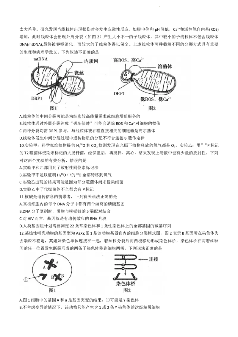 河南省平顶山许昌济源洛阳四市2024届高三上学期第一次质量检测生物(1)_2023年10月_0210月合集_2024届河南省平顶山许昌济源洛阳四市高三上学期第一次质量检测