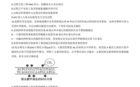 河南省平顶山许昌济源洛阳四市2024届高三上学期第一次质量检测生物(1)_2023年10月_0210月合集_2024届河南省平顶山许昌济源洛阳四市高三上学期第一次质量检测