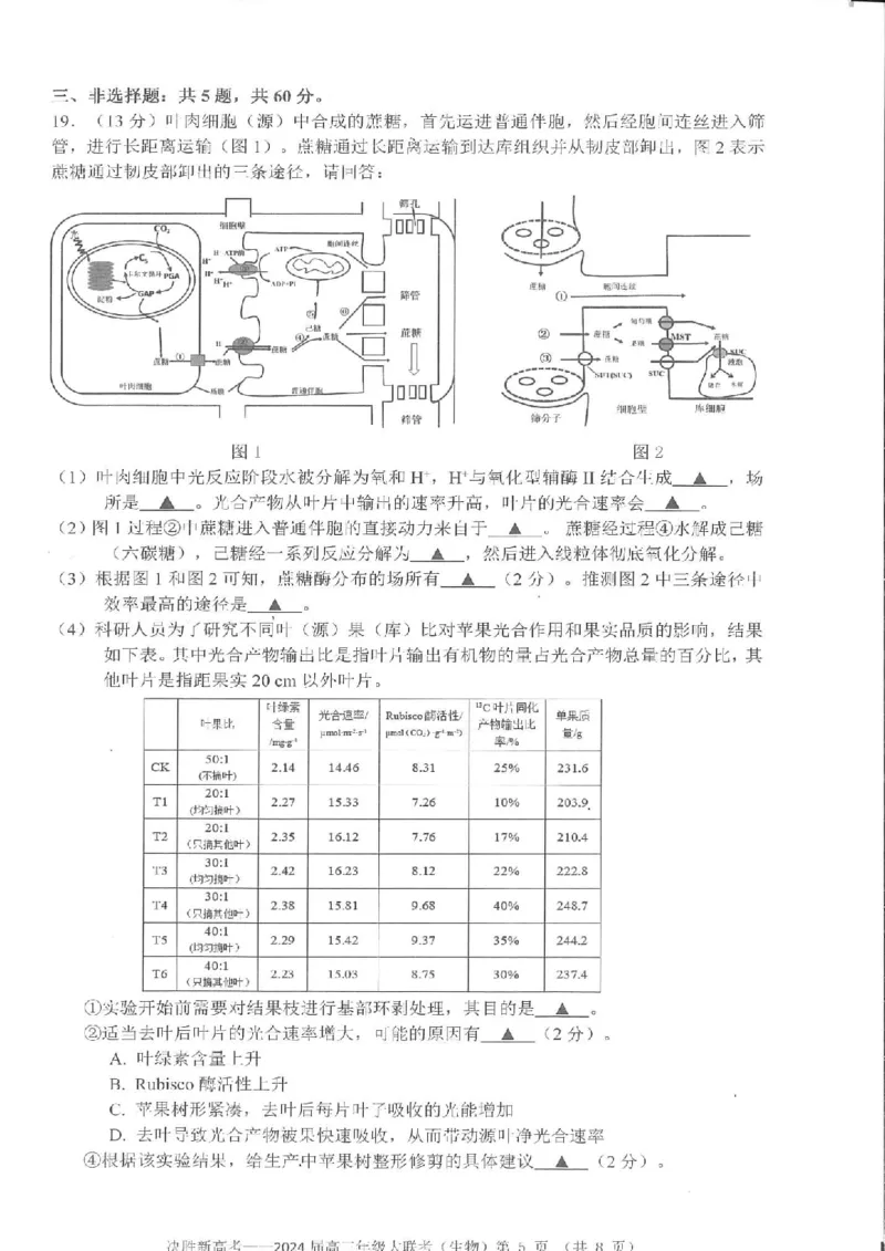 江苏省决胜新高考2024届高三上学期10月大联考生物(1)_2023年10月_01每日更新_16号_2024届江苏省决胜新高考高三上学期10月大联考