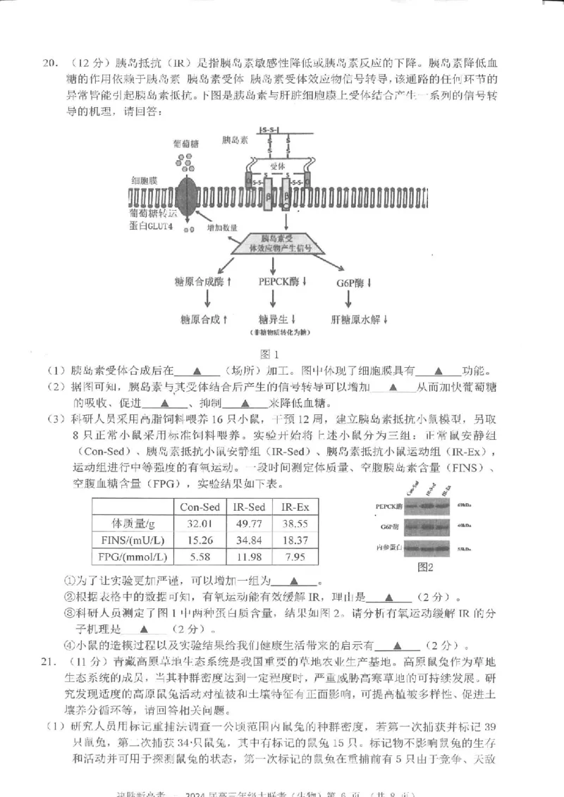江苏省决胜新高考2024届高三上学期10月大联考生物(1)_2023年10月_01每日更新_16号_2024届江苏省决胜新高考高三上学期10月大联考