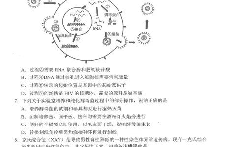 江苏省决胜新高考2024届高三上学期10月大联考生物(1)_2023年10月_01每日更新_16号_2024届江苏省决胜新高考高三上学期10月大联考