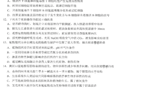 江苏省决胜新高考2024届高三上学期10月大联考生物(1)_2023年10月_01每日更新_16号_2024届江苏省决胜新高考高三上学期10月大联考
